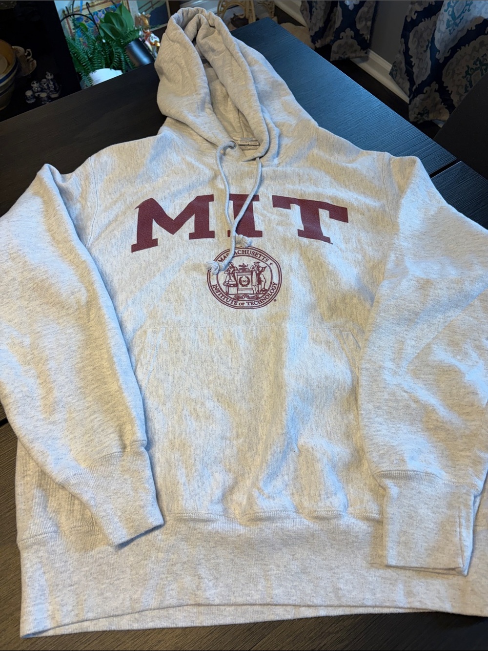 Vintage Style Champion Reverse Weave MIT Hoodie Gray Medium